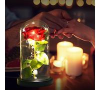 (As show, One size) Room Decor, Rose Night Light, Best Gift for Mom,Gifts for Girlfriend, Anniversary, Birthday, Valentine's Day