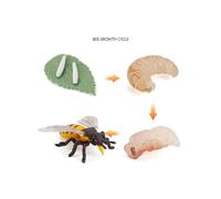 (As show, One size) XYC Animal Growth Cycle Biological Model , Growth Stage Lifelike Bee Life Cycle Model Set for Kids Education Insect Themed Party Favors