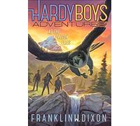 As the Falcon Flies: 24 (Hardy Boys Adventures)