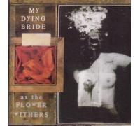 As the flower withers