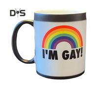(as the picture, A) Rainbow Heat Change Mug 11oz I'm Gay Funny Rude Cup Message Reveals As It Heats Creative Ceramic Coffee Cup Best Novelty Gag Gift for Birthday Wedding