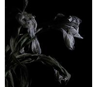 As We Cup Our Hands & Drink From The Stream Of Our [VINYL]