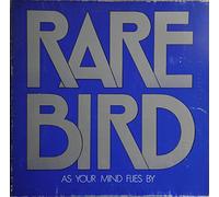 as your mind flies by