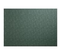 ASA Woven Placemat Synthetic Fibre, Green, Size: 46 cm x 33 cm, 78015076, 1 Piece