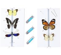 Asablve Making Insect Specimen Tools Kit, (300Pcs Insect Pins in Size #1,2,3) & (2 Pack Insect Pinning Boards), Insect Collection Craft Tools for School Lab Science Education Project/Bug Hobbyist