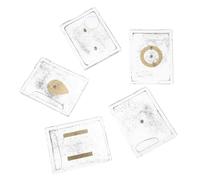 ASAKKURA Physics Experiment Set 5 Sets Magnetic Field Demonstrator with Iron Filings Box for Physics Lab and Student Classroom, Plastic and Iron Material for Boosting Science Efficiency