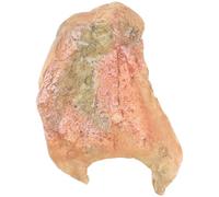 ASAKKURA Reptile Cave Adornment Resin Hideout No Fading Play Area Assorted Color for Small Snakes Reptile Tank Decoration