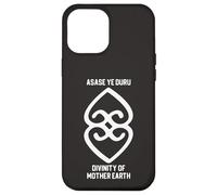 ASASE YE DURU Divinity of Mother Earth Case for iPhone 12 Pro Max