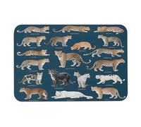 asbwuo Diatomaceous Earth Bath Mat Round Corners Leopard Varieties Printed Anti-Slip Bathroom Mat Rug for Shower Sink Bathtub Toilet 24x35 Inch