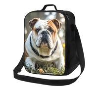asbwuo Insulated Lunch Box for Men Women Reusable Lunch Bag Funny English Bulldog Cooler Tote Bags for Work Picnic
