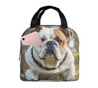 asbwuo Lunch Bag for Men Women Reusable Insulated Lunchbox Funny English Bulldog Lunch Tote Bag for Work Picnic