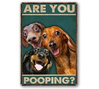 asbwuo Retro Tin Sign Vintage Dachshund Are You Pooping Funny Signs,Bathroom Restroom Wall Toilet Decor Funny Dachshund Decor Tin Sign 8x12inch
