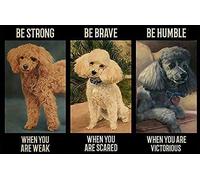 asbwuo Wall Decor Poodle Dog Lover Metal Tin Sign Be Brave When You are Weak Tin Signs Vintage Man Cave Metal Tin Sign Poster Vintage Art Wall Decor Kitchen Art Tin Signs Vintage 8x12 Inch