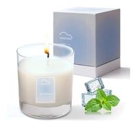 Ascendia Soy Wax Scented Candle 200g(7oz),Highly Fragranced Jar Candle,Up to 45 Hour Burn Time,Aromatherapy Candle for Relieves Stress, Relaxation,Perfect Gifts for Women & Men