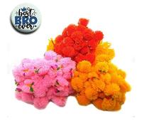 Ascension (Pack of 10) Ram Rakhi Flower Gota Pati Rakhi Pooja Rakhi Pom Pom Rakhi Feather Soft Children Rakhi Sharvan God Rakhi Rakhi Ram Rakhi & Best Brother Fridge Magnet