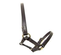 Ascot Foal Leather Headcollar - Dever - Brown - Size: Small