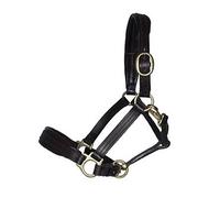 Ascot Padded Leather Headcollar - Dever - Black - Size: Pony