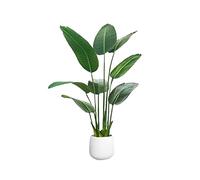 asdchZen Artificial Trees Simulated Green Plants High-End And Luxurious Simulated Flower Decorations Indoor Potted Plants Large Bionic Fake Plants Living Room Trees Simulated Pine,Gold,1.6m