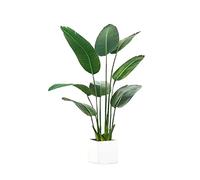 asdchZen Artificial Trees Simulated Green Plants High-End And Luxurious Simulated Flower Decorations Indoor Potted Plants Large Bionic Fake Plants Living Room Trees Simulated Pine,C,1.2m