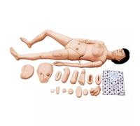 asdchZen Full-Featured Nursing Training Simulation Mannequin, 170Cm/5.57Ft Mannequin, With Interchangeable Genitals, For Men And Women Life-Size,Female