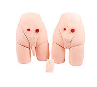 asdchZen Male Female Catheterization Integrated Model Nursing Practice Training Anatomical Dummy Mold Insertion Catheterization Internal External Reproductive Anatomy Model Simple Catheter