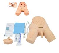 asdchZen Male Female Manikin Catheterization Model Urinary Nursing Practice Simulator Interchangeable Mannequin For Nursing Medical Training Reproductive System Anatomy 55×38×20Cm