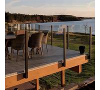 asdchZen Outdoor Patio Side Mount Glass Panels Posts - Black 304 Stainless Steel Glass Railing Columns Clamp, Commercial Landscape/Balcony/Porch/Staircase/Outside Steps,Black End Post,40 in/101 cm