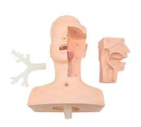 asdchZen Sputum Suction Training Simulator, Advanced Sputum Suction Practice Model, Sputum Suction Skills Medical Training Model,Medical Half-Body Human Nursing Model