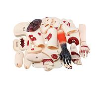 asdchZen Teaching Model,Training Simulator, Study Model, Nursing Human Mannequin Model, Burn Assessment Module/Trauma Accessories Nursing Set, For Students Education Teaching Medi