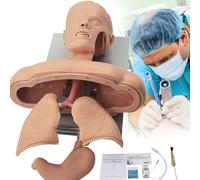 asdchZen Tracheal Strain Training Simulator Model, Airway Management Trainer, Training Mannequin, Head Teaching Re Mannequin For Scientific Education/Learning/Practice