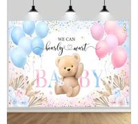 ASDCXZ Baby Shower Photography Backdrop 9x6FT, We Can Bearly Wait Photo Backdrop Cute Bear Boho Flowers Balloon Background Girl Baby Newborn Party Cake Table Decoration Banner Photo Studio Props