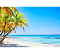 ASDCXZ Beach Backdrop 8x6ft, Summer Seaside Tropical Palm Trees Photo Backdrop, Vinyl Photography Backdrop for Birthday Baby Shower Hawaiian Theme Party Portrait Photo Studio Backdrops