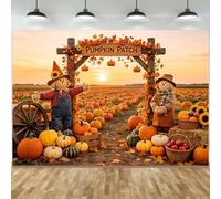ASDCXZ Fall Photography Backdrop 8x6FT, Rustic Pumpkins Patch Farm Scarecrow Sunflowers Western Photo Backdrop for Thanksgiving Autumn Harvest Party Decorations Background Banner Photo Props
