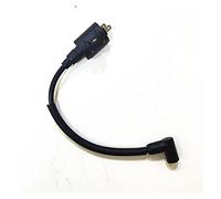 ASDGH Boat Motor Ignition Coil, for HIDEA, 2- Stroke 2. 5HP 2. 5F T2. 5 Outboard Engine 2.5F-01.03.01.00 Boat Ignition Switch