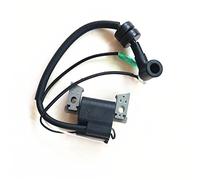 ASDGH Boat Motor Ignition Coil, for Parsun, 4- Stroke F4 F5 BM Outboard Engine Ignition Winding Assy F4-04000038 Boat Ignition Switch