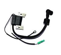ASDGH Ignition Coil Assy With CDI Boat Engine, for YAMAHA, F4L F4B F4S F5A F6L F6S F6C 4 Stroke 6BX-85571-00 Boat Ignition Switch