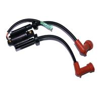 ASDGH Ignition Coil F9.9, for HIDEA, 4 Stroke 9.9HP Boat Engine 680-85570-02-00 Boat Ignition Switch