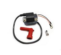 ASDGH Outboard Ignition Coil, for YAMAHA, 697-85570-11-00 697-85570-10-00 55HP 1992-1995 60HP 1996-2001 2004 2006 70HP 90HP Boat Ignition Switch