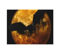 ASEELO 102x76cm blanket Halloween bat Fleece Blanket Sofa Throw for Bed and Couch Travel 240GSM