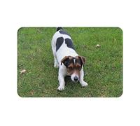 ASEELO 40x60 Cm Door Mat Jack Russell Dog Entrance Rug Dirt Trapper for Indoor and Outdoor Non-Slip Carpet Area Rug Barrier Mat