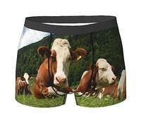 ASEELO Men's Boxer Shorts Cute Cows Relaxed On Grass Boxer Briefs Comfortable Stretch Men Underwear Trunks L