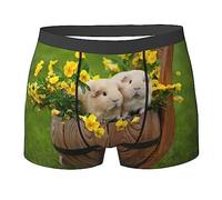 ASEELO Men's Boxer Shorts guinea pigs Boxer Briefs Comfortable Stretch Men Underwear Trunks L