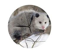 ASEELO Opossum in Snow Wall Clocks for Living Room Decor Round Wall Clock 10 Inches, Silent No Ticking Clock