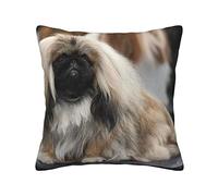 ASEELO Pekingese Dog Cushion Covers Throw Pillow Cover Pillowcases With Invisible Zipper For Sofa Bed Garden Car 30/40/45/50 Cm