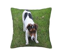 ASEELO Throw pillow covers Jack Russell Dog Double-sided printing Cushion Covers with Invisible Zipper Decorative Couch Pillow Case