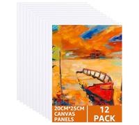 ASelected 12 Pcs Stretched Canvas Art Canvases, 25 x 20 Cm, 100% Cotton, Acid Free, Professional, For Acrylic, Oil, Gouache, Watercolour (White)