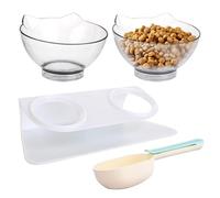 ASelected Raised Cat Bowl with Stand,Cat Bowls with Stand Tilted 15° and scoop,Cat Feeding Bowl for Kittens Elevated Cat Bowl Anti Vomiting and over-turned,Feeding and Water Supplies for Cat