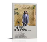 ASENWQWNEQWLL The Pains of Growing by Alessia Cara Poster Wall Art Decor Canvas Posters Vintage Art Esthetic Decoration for Living Room Bed Room 20x30inch(50x75cm) Frame-style
