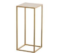 ASerZenith Metal Plant Stand for Indoor Outdoor, Modern Tall Single Potted Planter Stand, Heavy Duty Flower Pot Holder, Rustproof Iron Square Plants Shelf for Living Room (Gold-26x26x60cm)