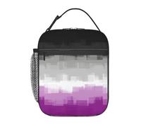 Asexual Pride Flag Lgbtq Lunch Box Portable Insulated Bag Reusable for Women&Men&Work Picnic Hiking
